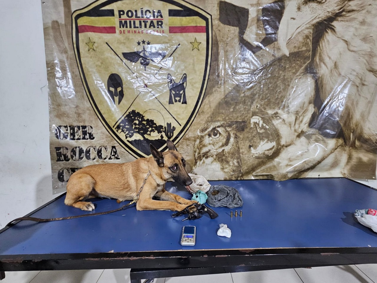 Jovem de 18 anos é preso com drogas e arma em operação da PM no Bairro Vila Telma, em Montes Claros