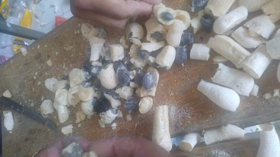Mãe é presa ao levar biscoito recheado com maconha para filho preso, em Janaúba