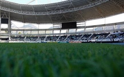 Estádio Nilton Santos com grama sintética (Foto: Divulgação/Flamengo)
