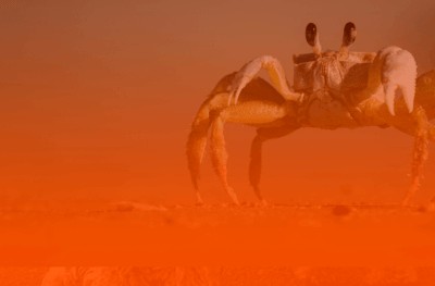 Mês de Câncer: como seu signo pode aproveitar