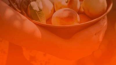 Mês de Virgem: como todos os signos podem aproveitar o período