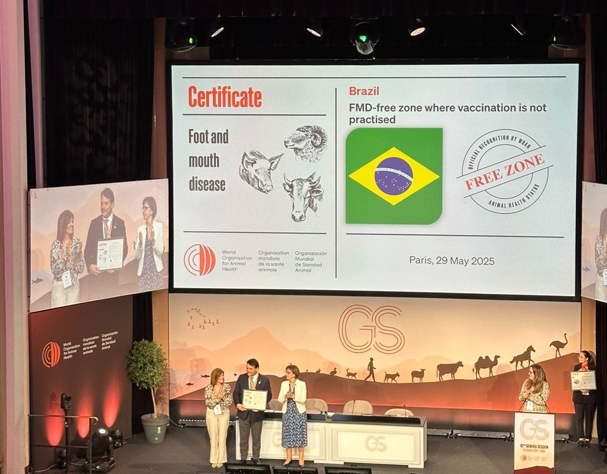 O Brasil recebeu durante a 92ª Sessão Geral da Assembleia Mundial da Organização Mundial de Saúde Animal, em Paris, dá o certificado de país livre de febre aftosa sem vacinação.