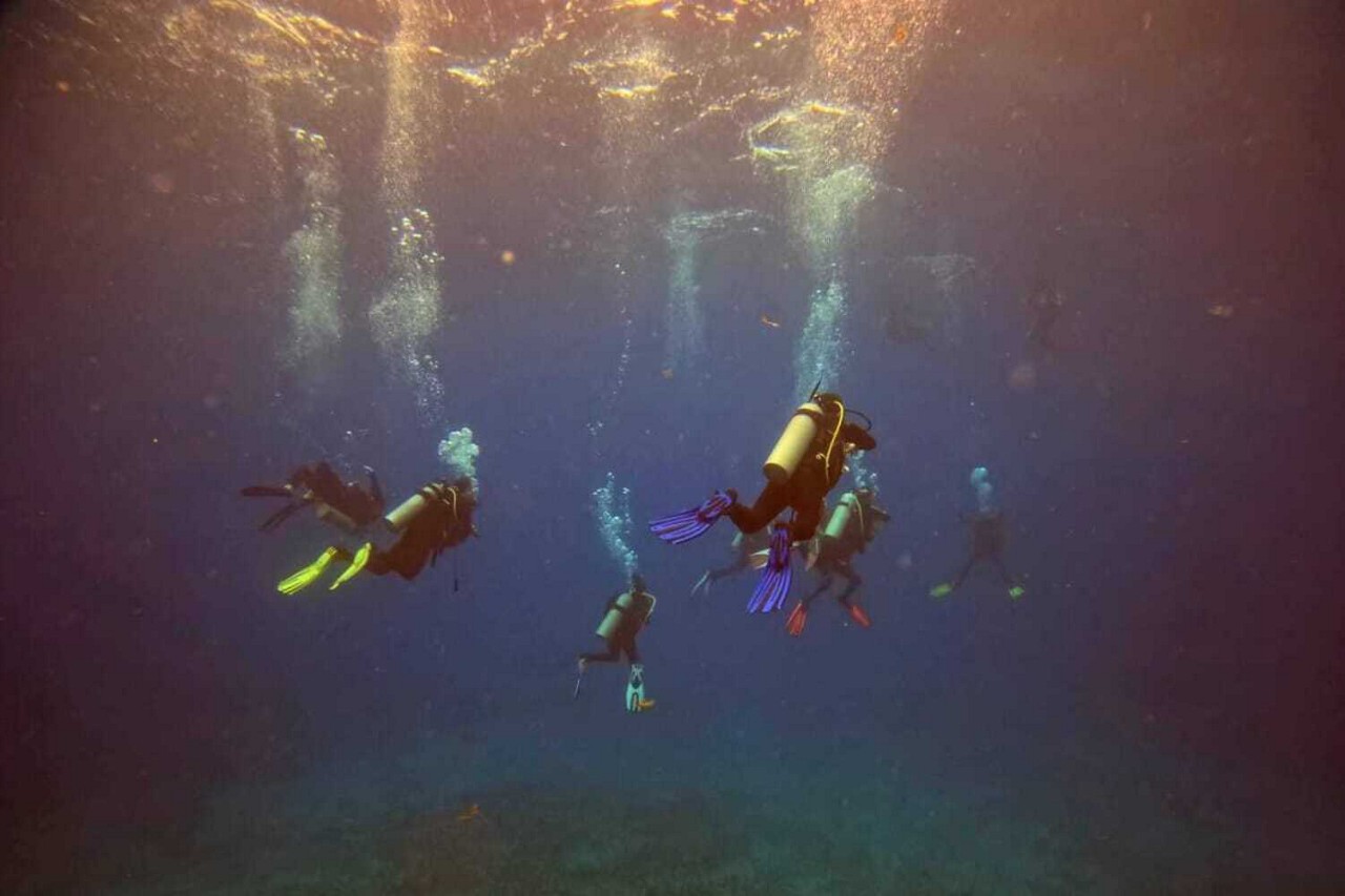 Escola de mergulho marAmar leva alunos para viagens e experiências em alto mar
