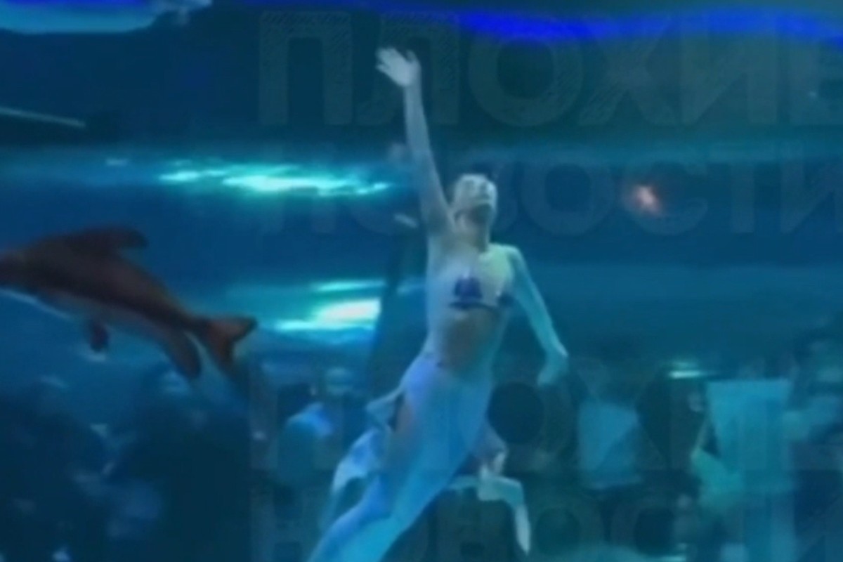 Uma artista que performa como sereia foi atacada durante uma apresentação, na China