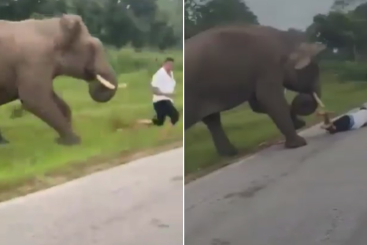 O momento do ataque foi registrado em vídeo por outros visitantes e rapidamente se tornou viral nas redes sociais