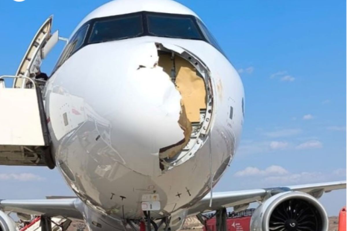 Avião fica com a parte da frente destruída após colidir com pássaros