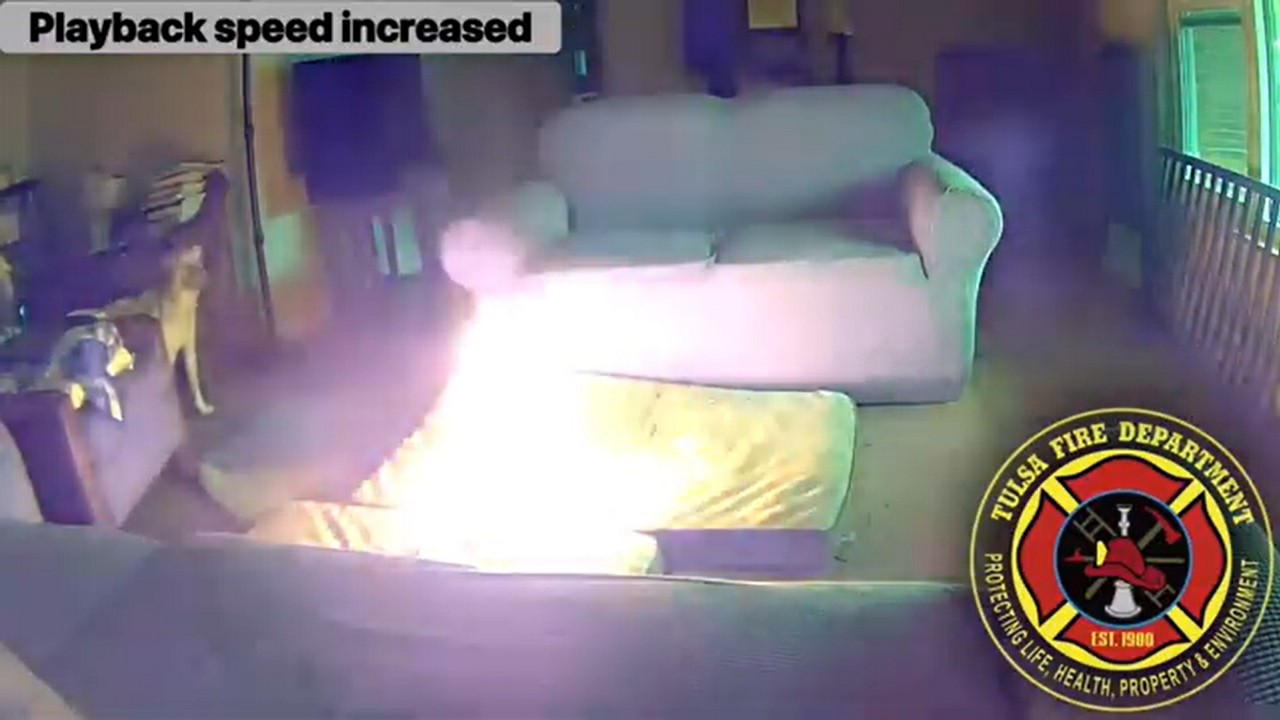 Cachorro incendeia casa após mastigar bateria de lítio, que explodiu; cães da residência foram resgatados com vida