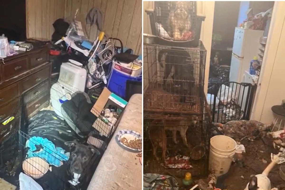 Polícia foi até a casa depois que o Departamento de Serviços Sociais do estado norte-americano recebeu uma denúncia sobre as condições insalubres da residência