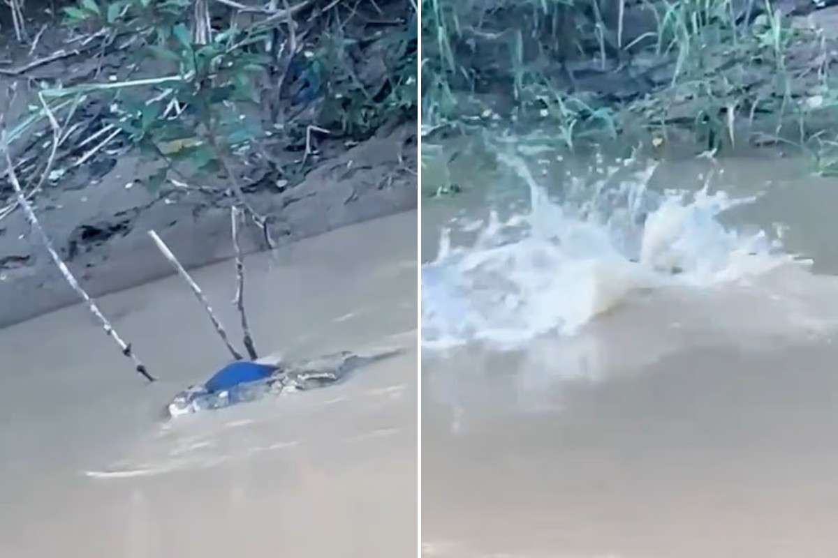 Adolescente foi arrastado por rio e morto por crocodilo