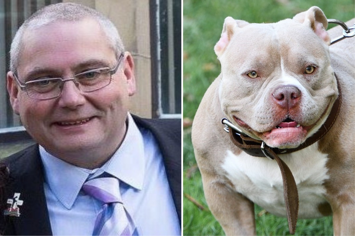 David Daintree, de 53 anos, morreu ao ser atacado pelo próprio cachorro, da raça American Bully XL, pribida no país