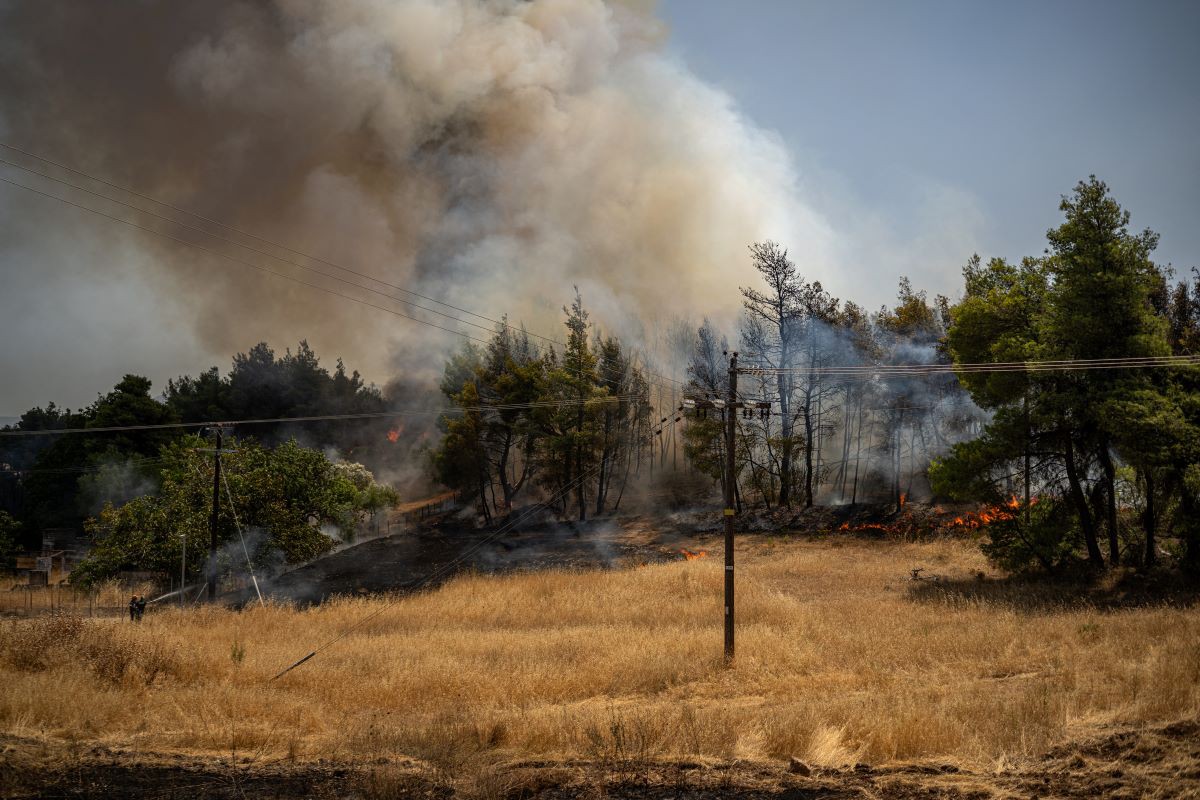 Incêndios florestais na Grécia 