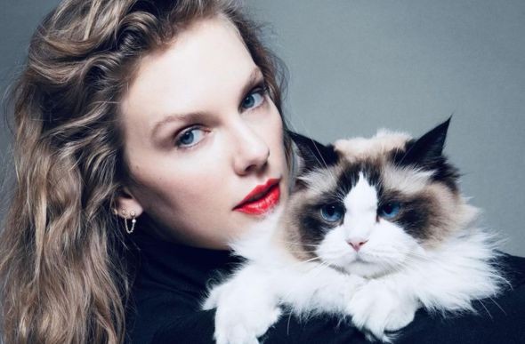 Taylor Swift postou uma foto no Instagram declarando voto em Kamala