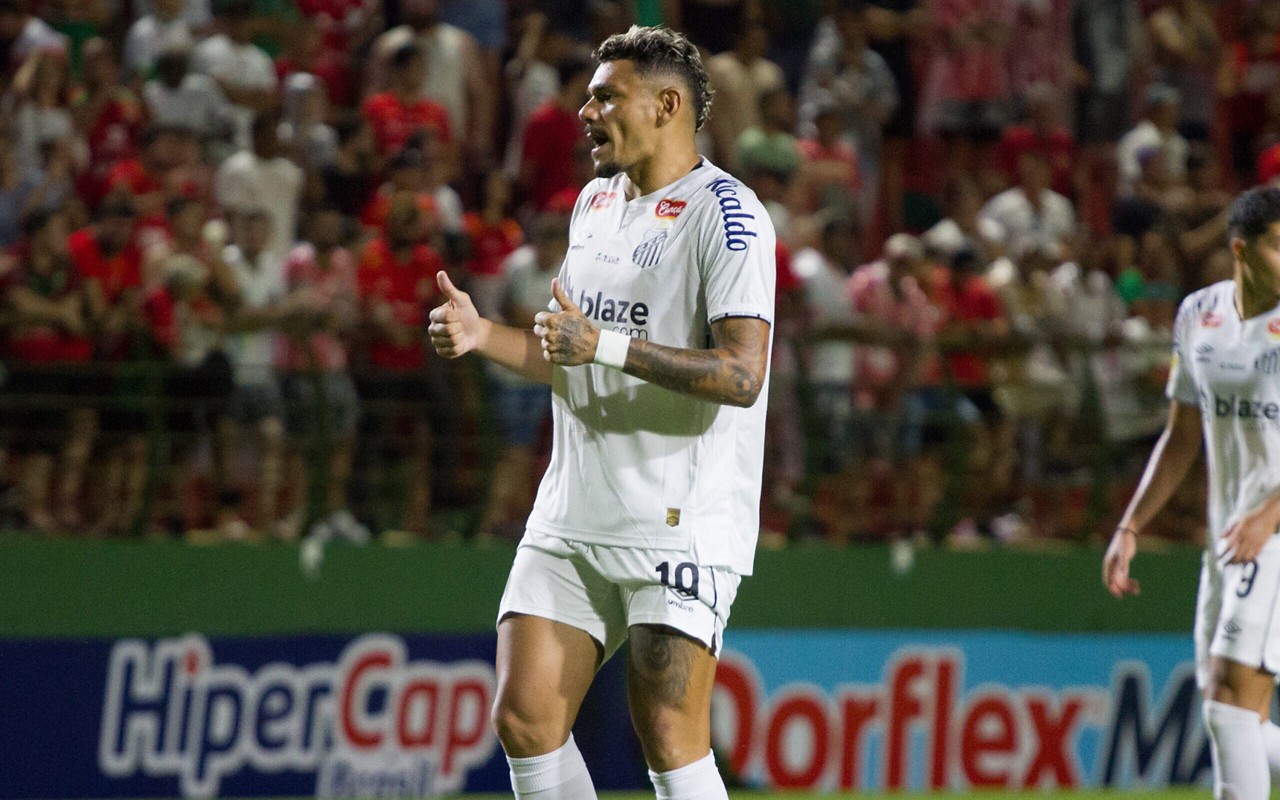 Tiquinho Soares estreou com derrota no Santos (Foto: Roberto Gardinalli/AGIF)