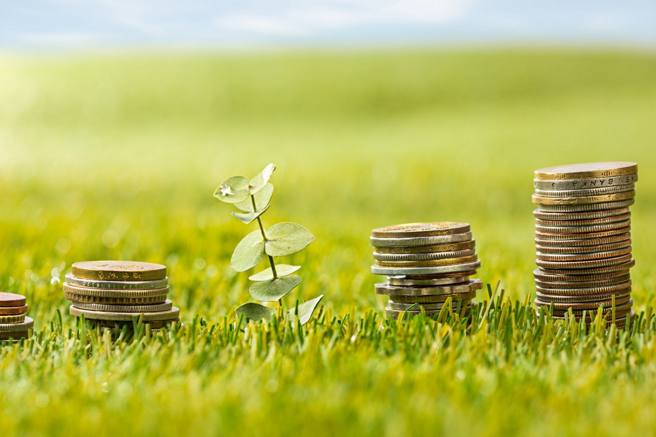 Natura vai na contramão e reafirma compromissos ESG em meio à crise