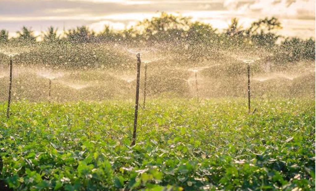Nova lei estimula produtores rurais de Minas a investir em irrigação
