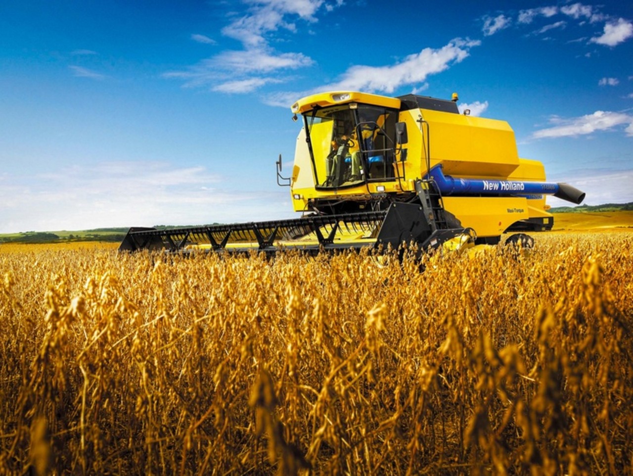Agro deve impulsionar o PIB do Brasil em 2025