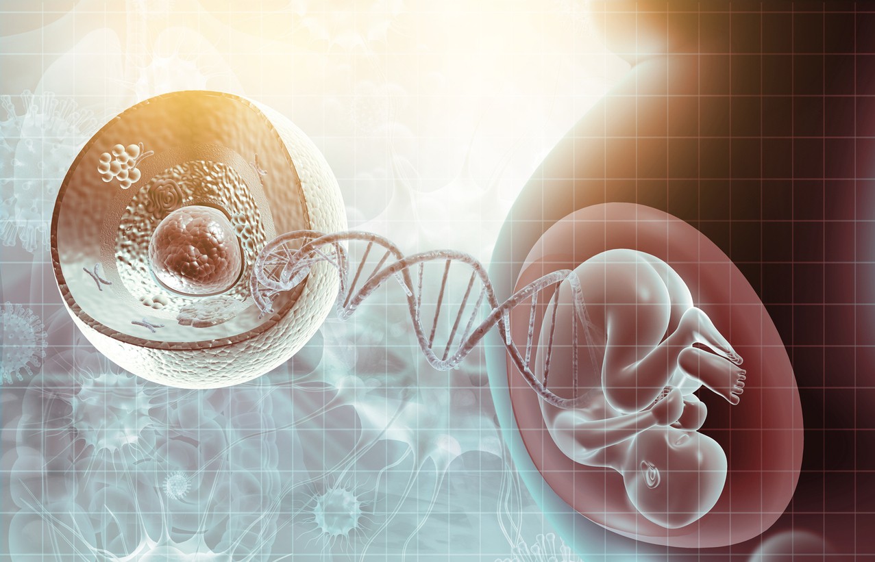 Human fetus and dna on scientific background. 3d illustration