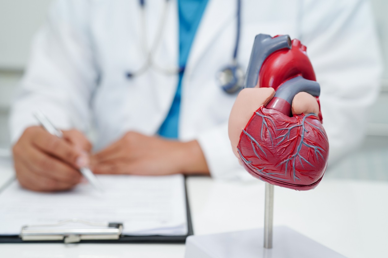 Cardiovascular disease CVD, doctor with heart human model anatomy for treatment patient in hospital.