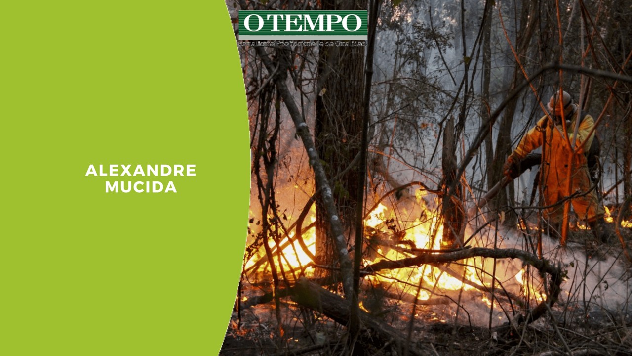 Incêndio florestal em São Carlos, estado de São Paulo