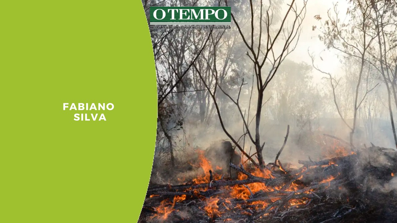 Queimada em mata no Pantanal brasileiro