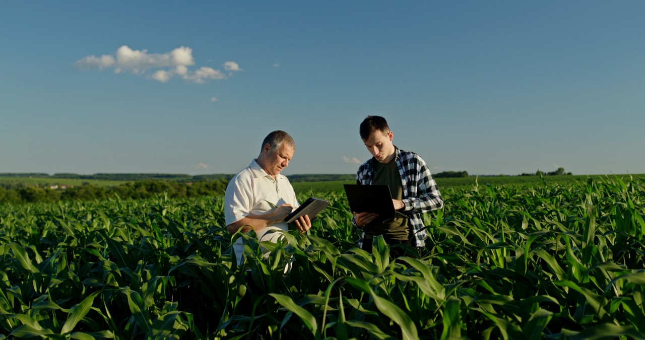 In a cornfield, two farmers from different generations collaborate using a laptop. This scene highlights the concept of learning and experience transfer, with the older farmer sharing knowledge and the younger farmer embracing modern technology to enhance agricultural practices.