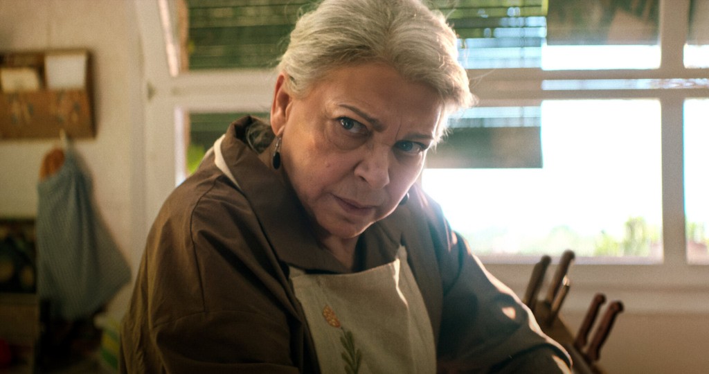 Duas Covas: Explicamos o final da 1ª temporada da série da Netflix