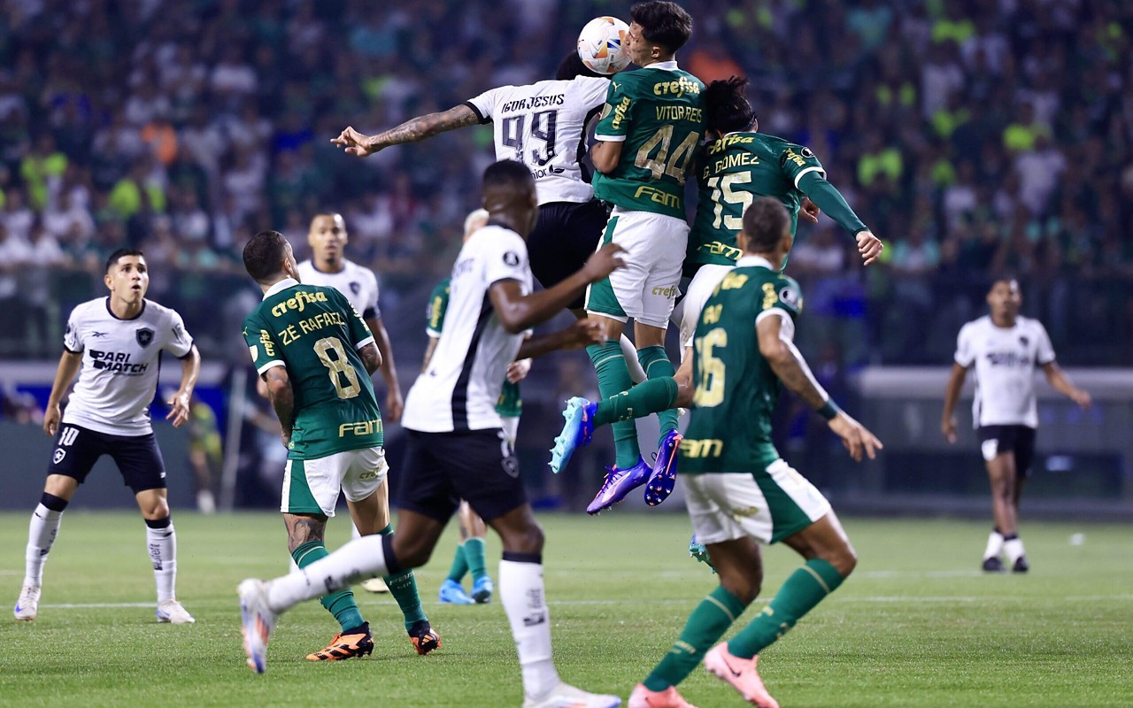 Confira todas as informações do duelo entre Palmeiras e Botafogo, válido pela primeira rodada do Brasileirão (Foto: Marcello Zambrana/AGIF)