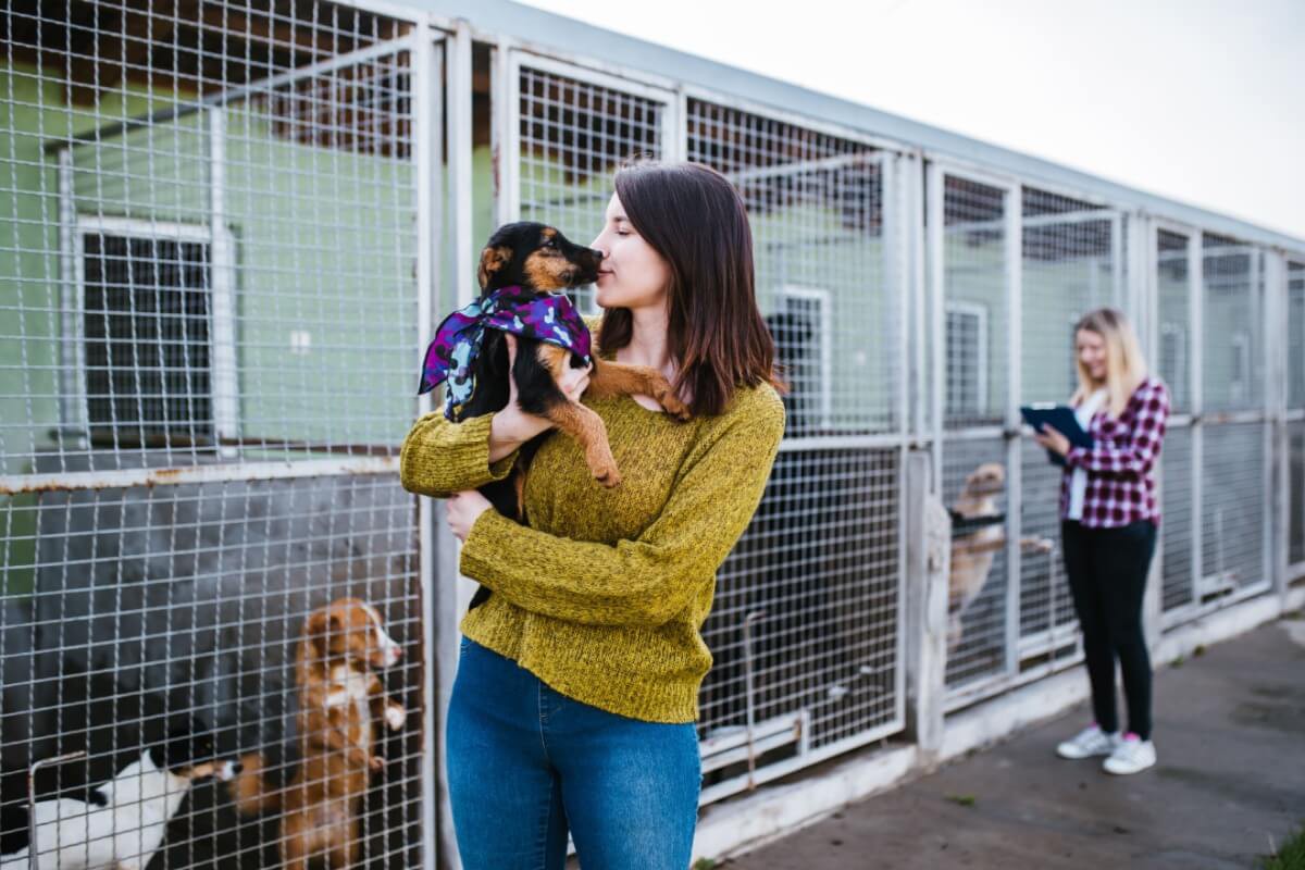 A adoção responsável pode transformar a sua vida e a do animal