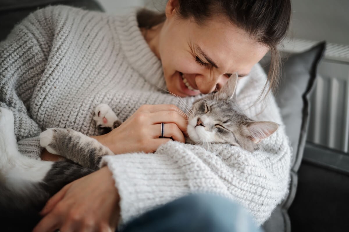 A esporotricose felina é uma doença que exige atenção
