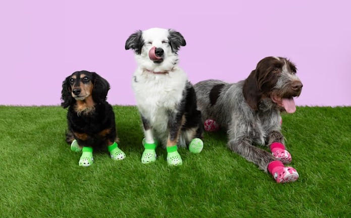 Crocs lança produtos para pets