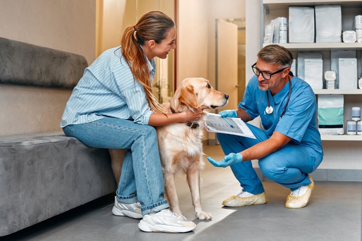 Escolher um bom veterinário é importante para a qualidade de vida do animal