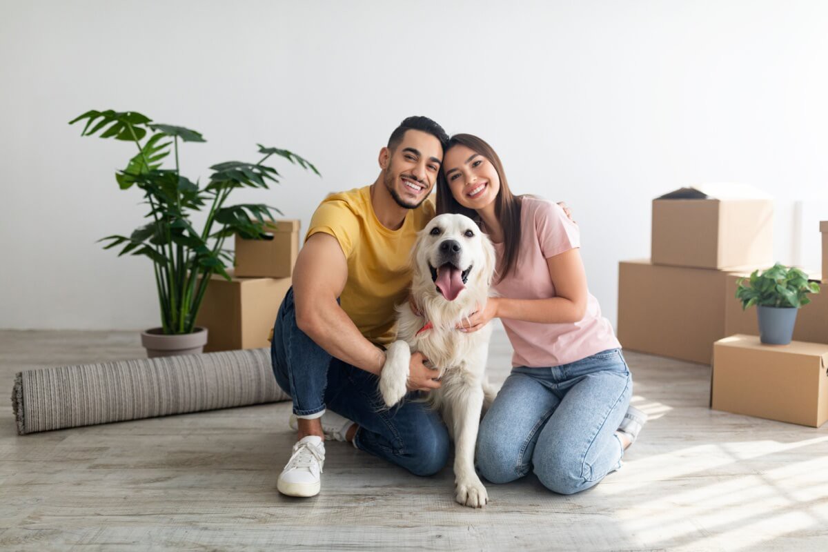 Estratégias simples tornam a mudança na rotina dos pets mais leve