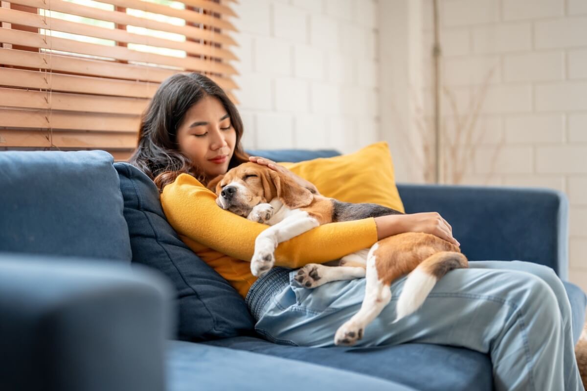 Há nomes perfeitos para cachorros tranquilos