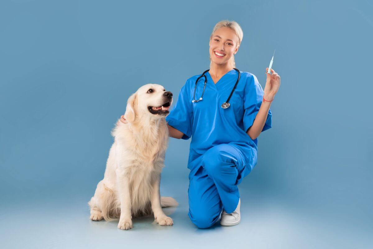 Julho Dourado conscientiza a população sobre a importância da vacinação para pets
