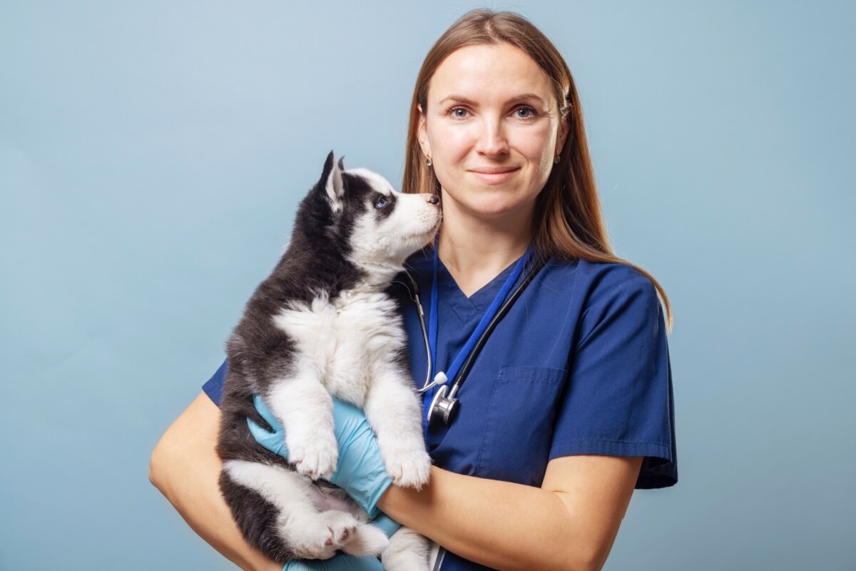 O sistema imunológico em formação torna os filhotes de pets mais suscetíveis a infecções, vírus e bactérias