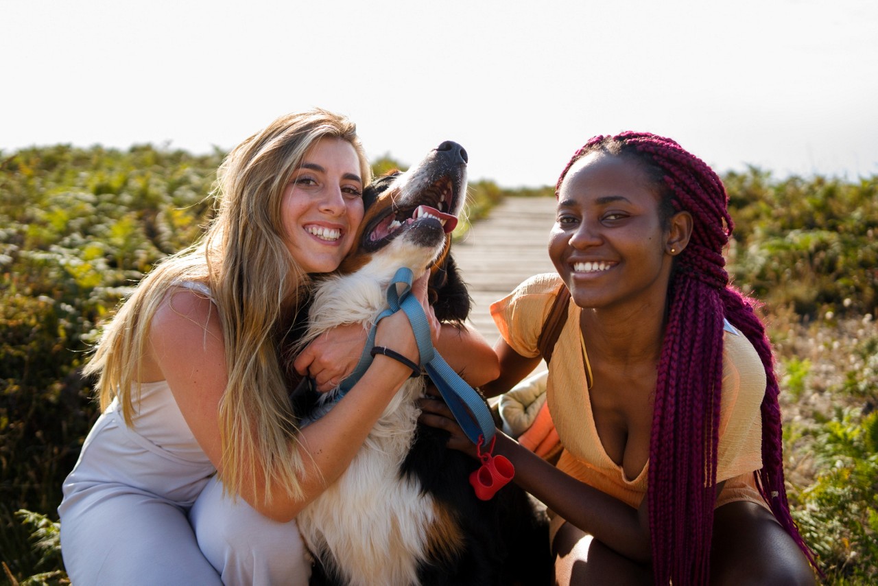 Interação com cachorros tem benefícios para saúde e bem-estar