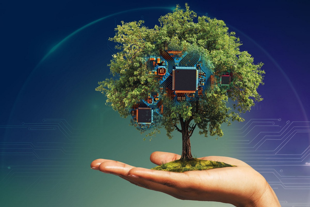 Plantando soluções