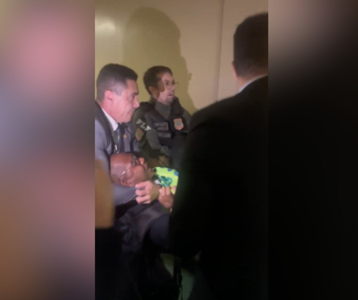 Manifestante foi retirado do plenário pela Polícia Legislativa; um dos agentes aplicou um golpe mata-leão no homem