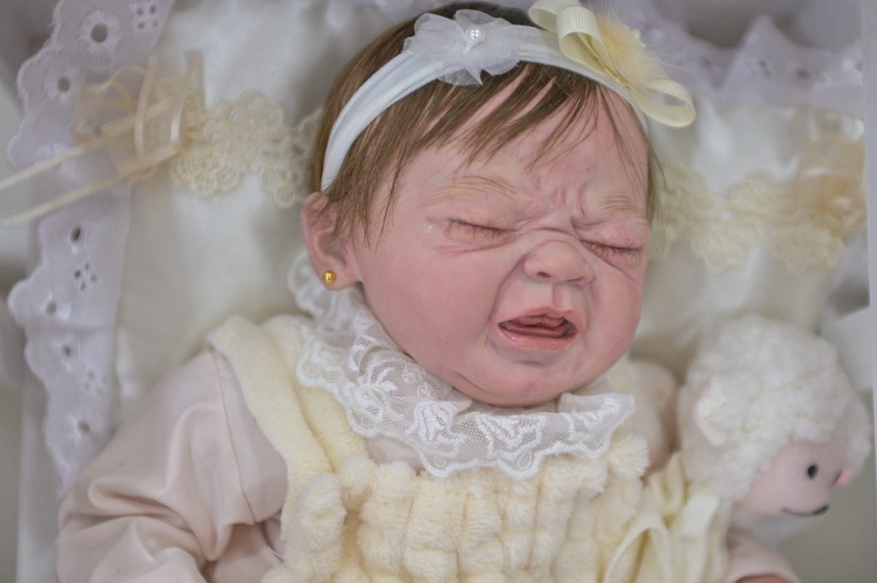 Bebês reborn tem sido poularizados, e os bonecos têm nomes e até documentação