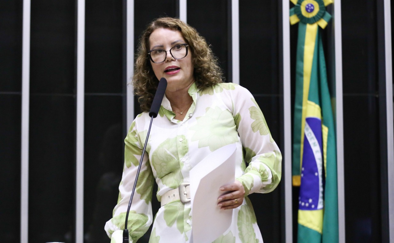 Deputada Nely Aquino é autora de um dos projetos apresentados na Câmara; proposta prevê aumento de prisão para agressores