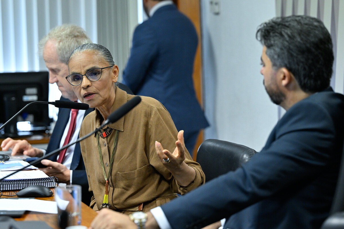 Declarações do presidente da comissão, senador Marcos Rogério (PL-RO), e do senador Plínio Valério (PSDB-AM), dirigidas à ministra Marina Silva repercutiram mal 