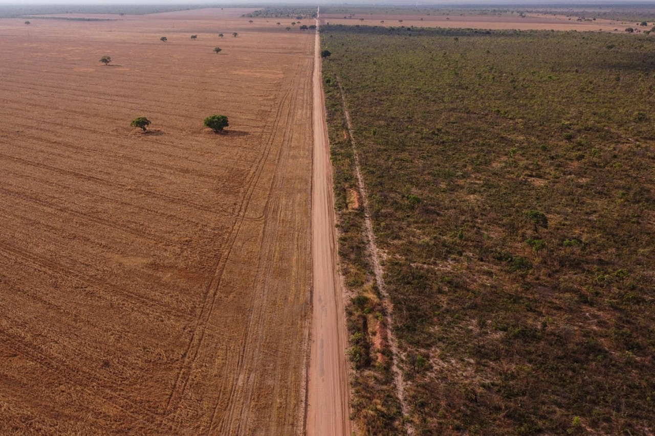 Vista aérea de um campo agrícola próximo a um cerrado nativo em Baianópolis, oeste do estado da Bahia: projeto de laie aprovado em comissões do Senado dispensa licença ambiental para atividades agropecuárias