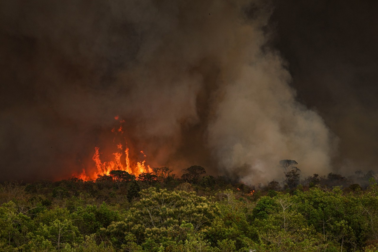 Incêndio no Parque Nacional de Brasília em setembro de 2024, que levou cerca de quatro dias para ser controlado e destruiu 1.473 hectares