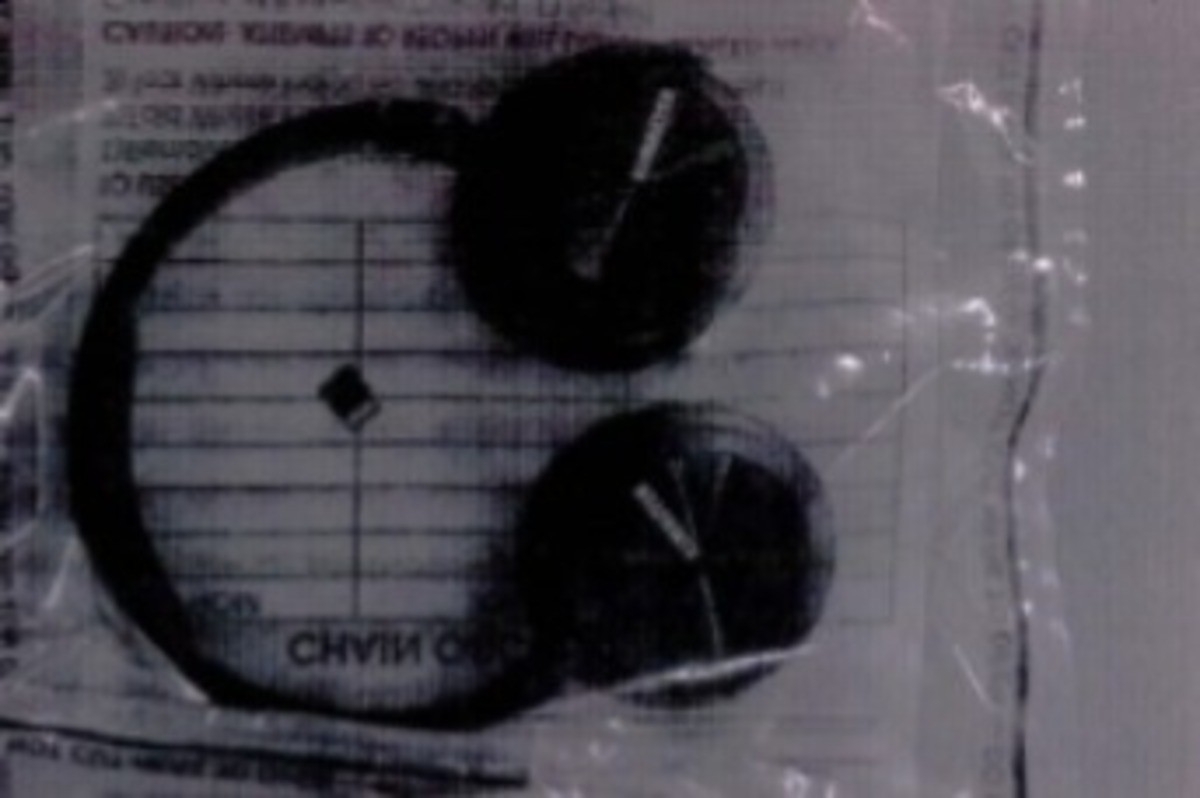 Ofício entregue pelo Exército ao Supremo Tribunal Federal (STF) reúne imagens dos equipamentos eletrônicos escondidos no panetone que a irmã do militar Rodrigo Bezerra levava para ele