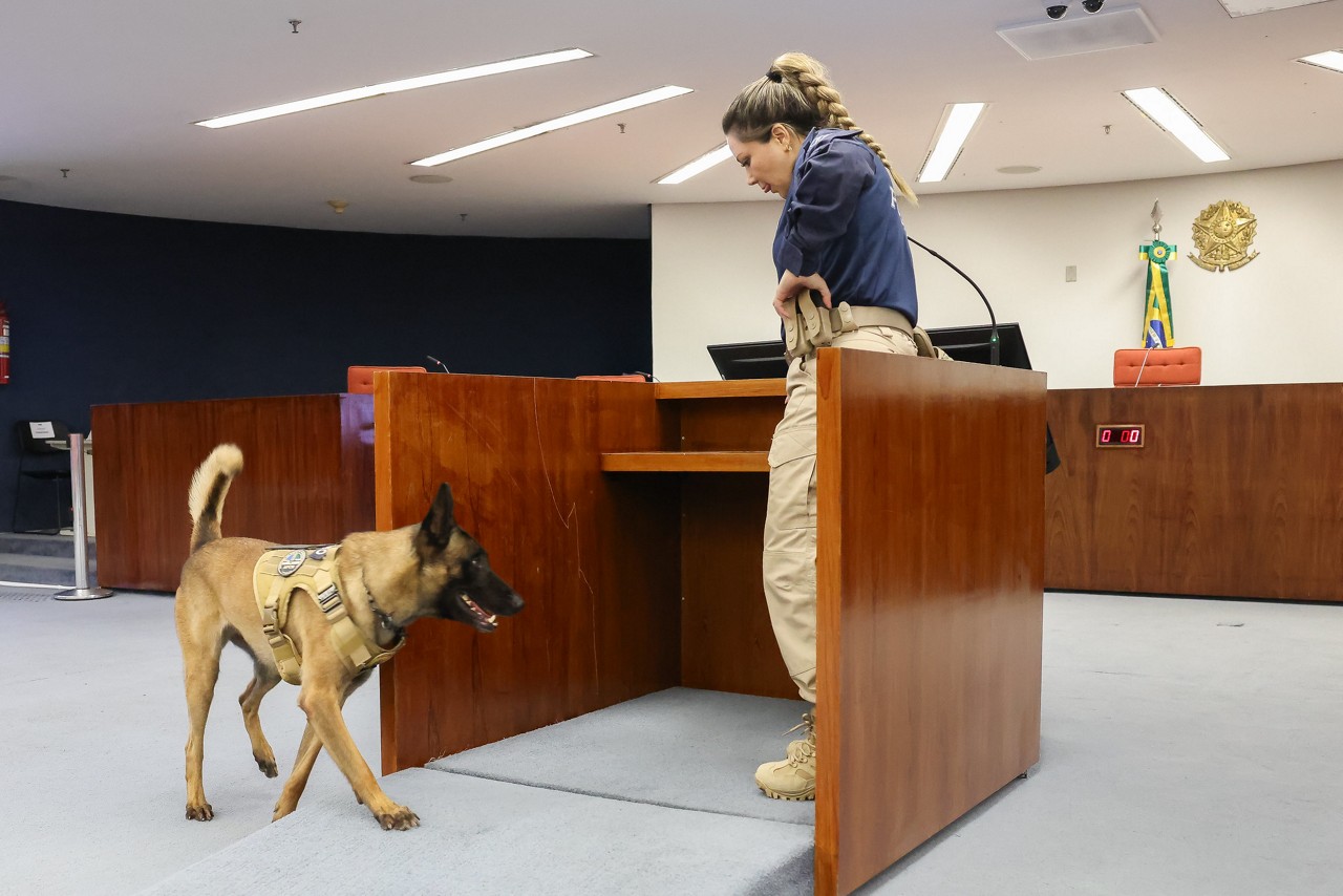 Três cães farejadores da Polícia do Senado fizeram uma varredura no plenário da Primeira Turma do STF em busca de materiais que pudessem colocar em risco a sessão de julgamento. Nada foi encontrado