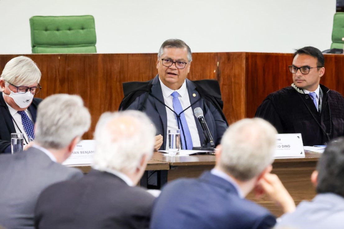 Entre as medidas determinadas pelo ministro Flávio Dino está a de que o governo federal apresente um plano de prevenção e combate a incêndios florestais para 2025, incluindo custos materiais e de pessoal