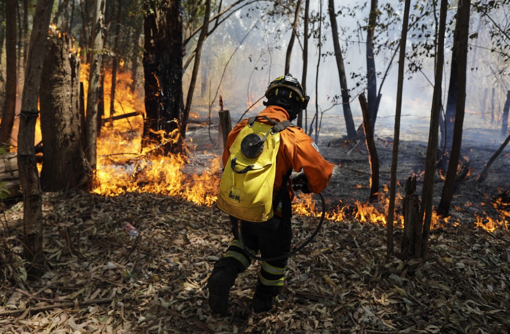 Bombeiros combatem fogo na Floresta Nacional de Brasília 
