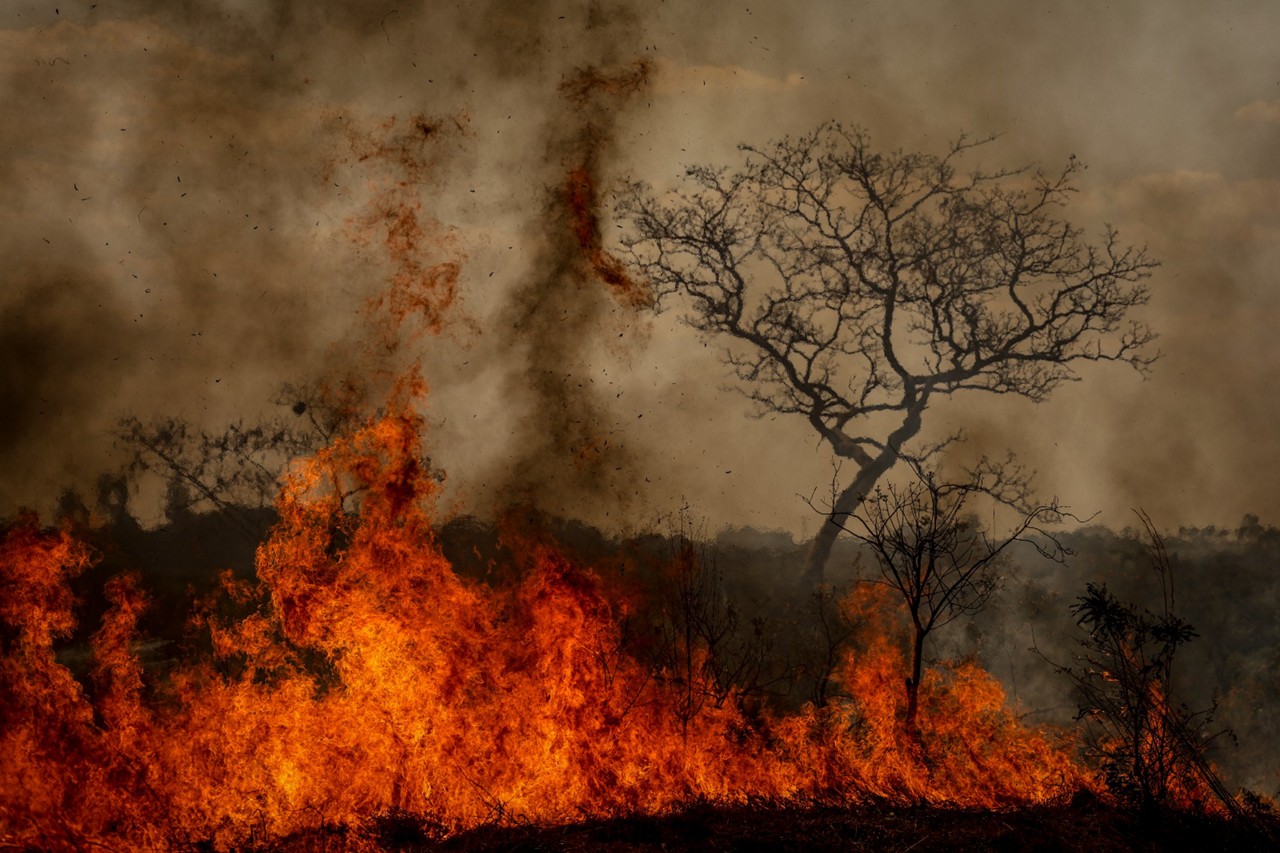 Registro de queimada em área de cerrado em Brasília, no final de agosto de 2024