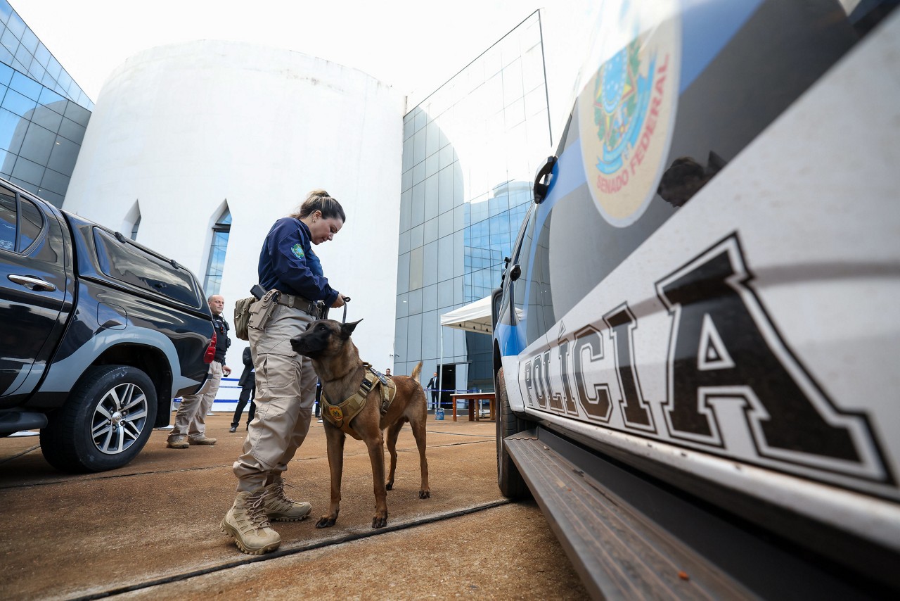 Varredura de segurança com cães farejadores no STF voltará a ser feita minutos antes do julgamento de Bolsonaro e aliados na terça-feira (2/9)