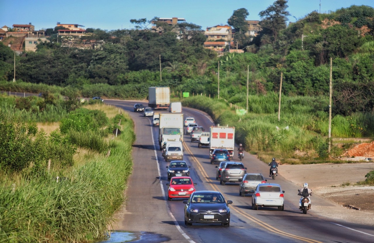 Mato alto verificado em todo o trecho da estrada impede inclusive que o motorista veja as placas de sinalização